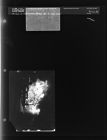 Center Street House Fire (1 Negative) (1952-1953) [Sleeve 30, Folder g, Box 1]